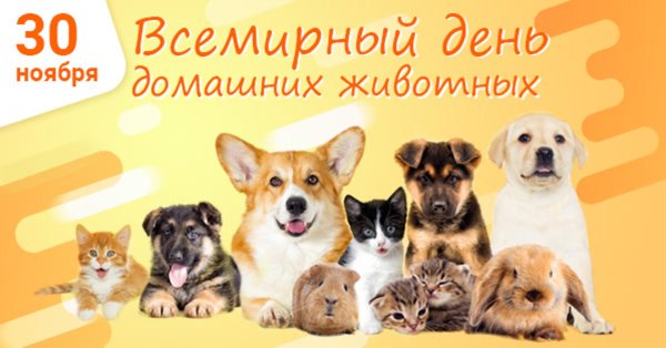 30 ноября день домашних животных