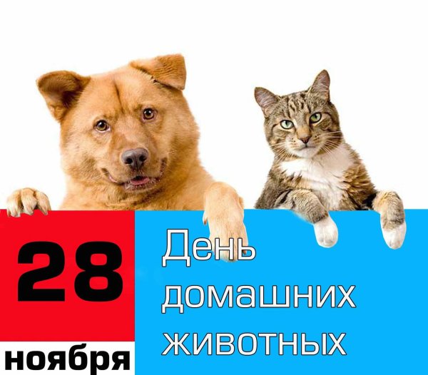 всемирный день домашних животных