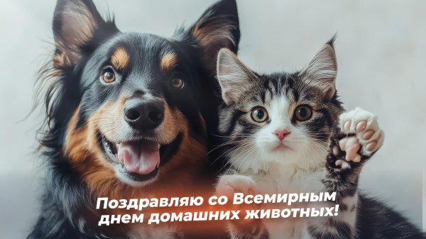всемирный день домашних животных