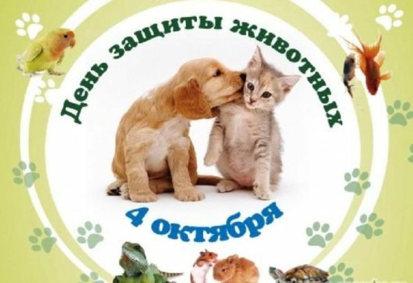 4 октября день защиты животных