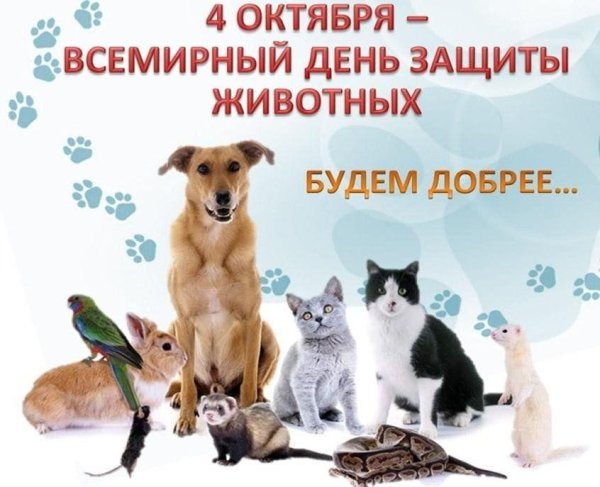 всемирный день домашних животных
