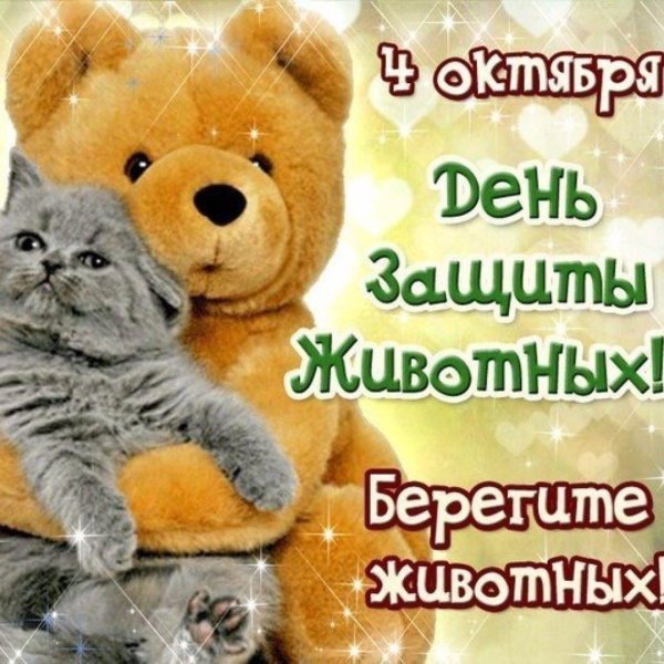 с днем защиты животных