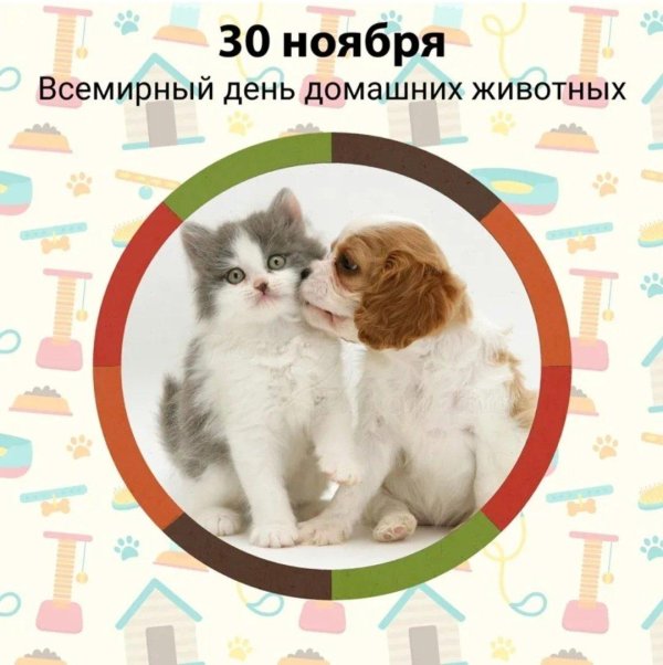 всемирный день домашних животных