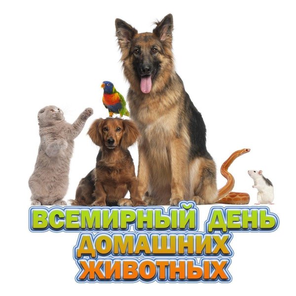 всемирный день домашних животных