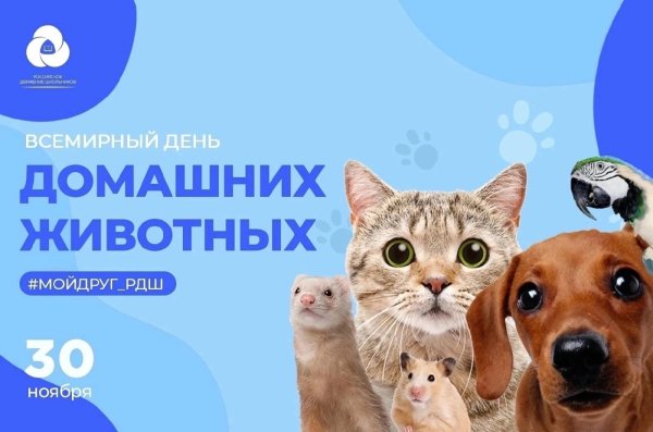 день домашних животных 30 ноября