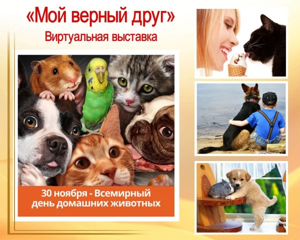 всемирный день домашних животных