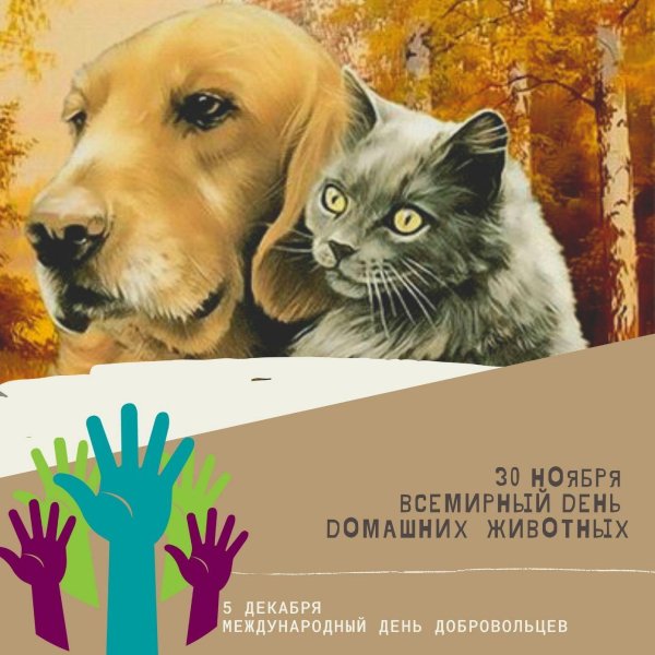 30 ноября день домашних животных
