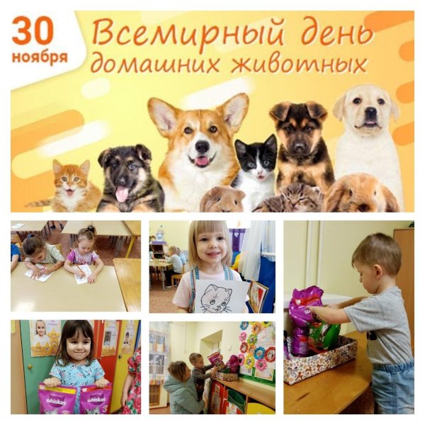 всемирный день домашних животных