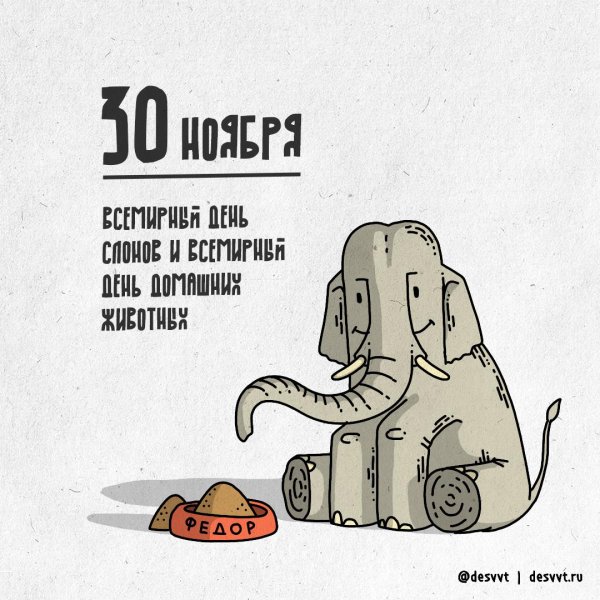 всемирный день слонов