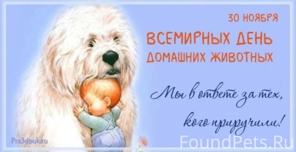 30 ноября день домашних животных