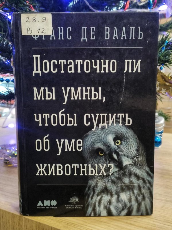 достаточно ли мы умны чтобы судить об уме животных