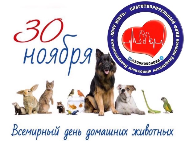 30 ноября день домашних животных