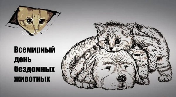 17 августа всемирный день бездомных животных
