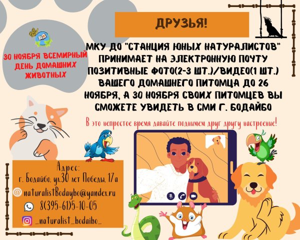 день домашних животных 30 ноября