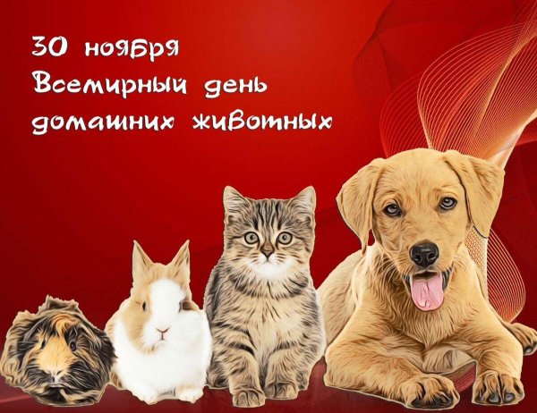 всемирный день домашних животных