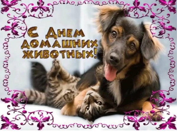 день домашних животных 30 ноября