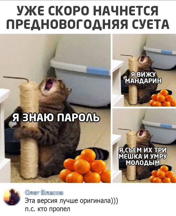 3 января день мандаринок