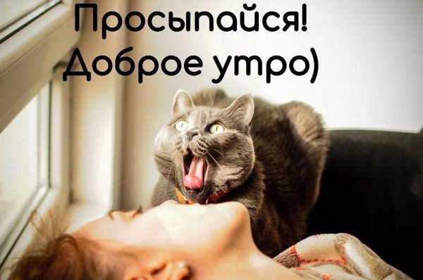 Пора вставать
