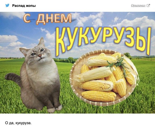 День воздушной кукурузы