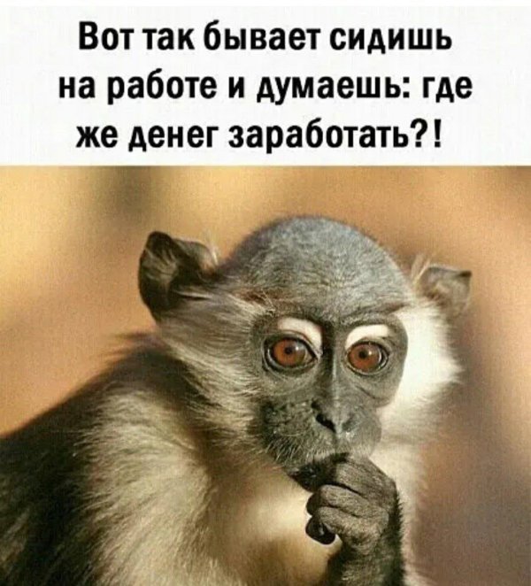 Не в деньгах счастье