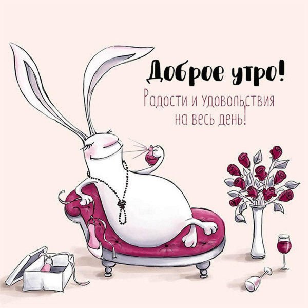 доброе утро зайка