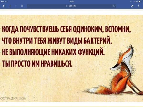 прикольные рисунки лисы