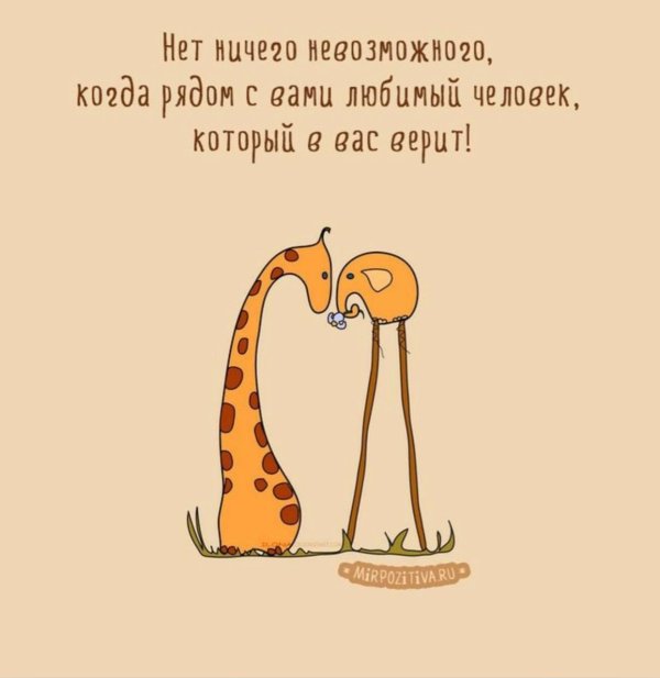 жираф иллюстрация