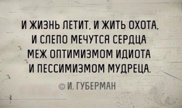 а жизнь летит и жить охота и слепо мечутся сердца меж оптимизмом