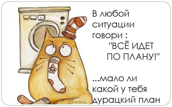 дурацкий план