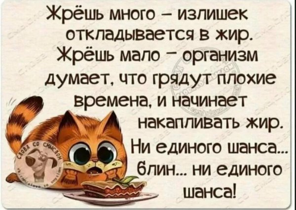 жрешь много излишек откладывается в жир