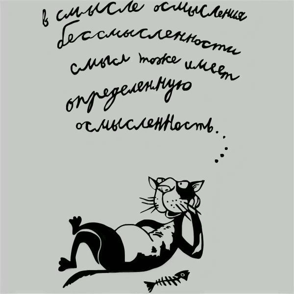 юмористические высказывания