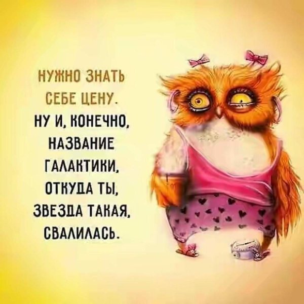 сонная сова