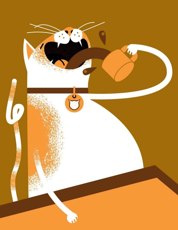 кот пьет чай