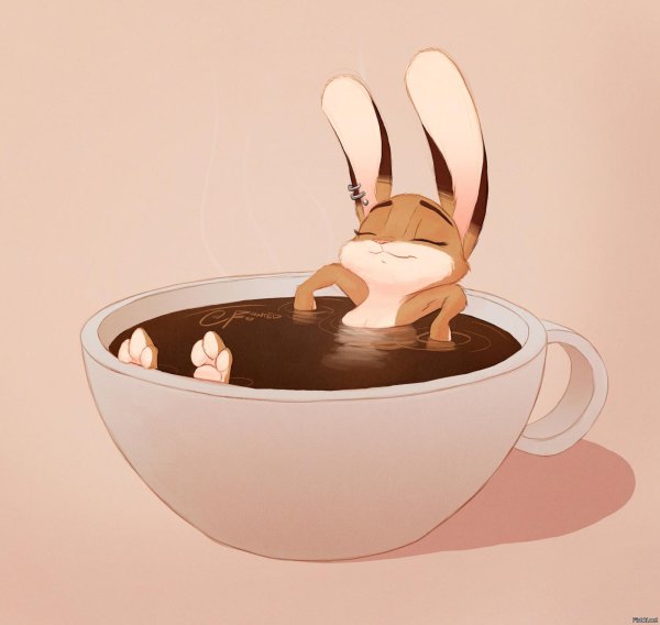 кролик в чашке