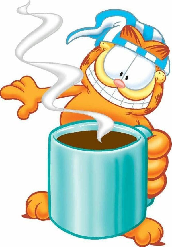 garfield cat