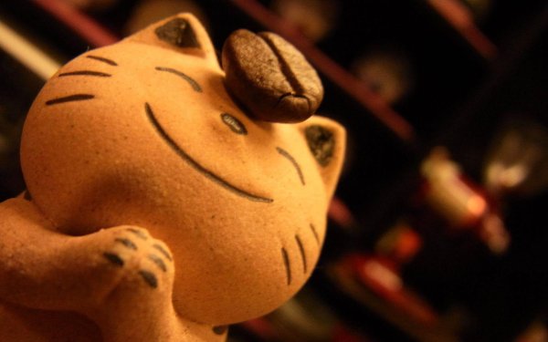 мультфильм удача кот