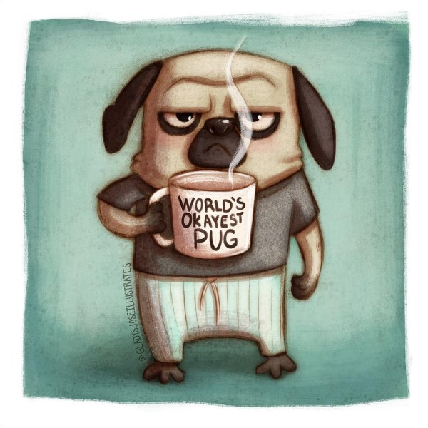 мопс смешной