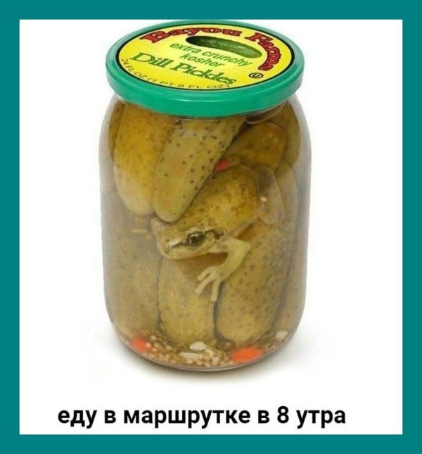 лягушка жаба