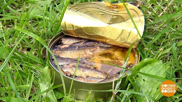 шпроты омега 3