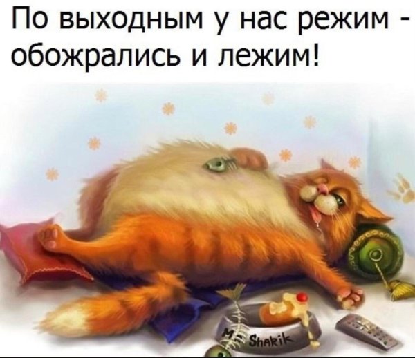 объевшийся кот