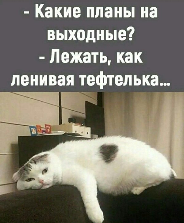 лежу выходной