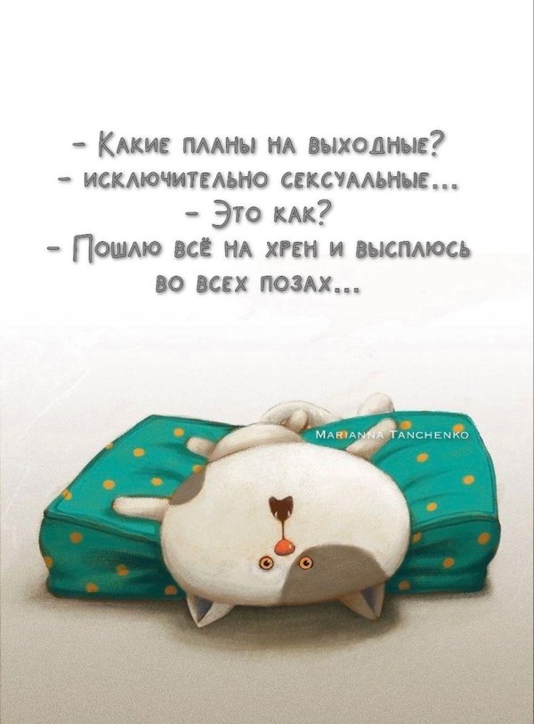 юмор про воскресенье