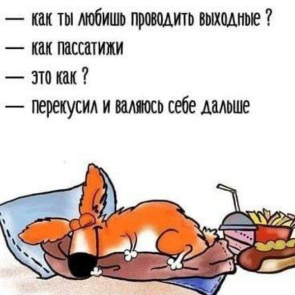 как провести выходные