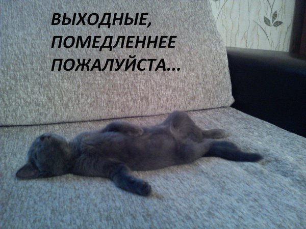 хочу выходной