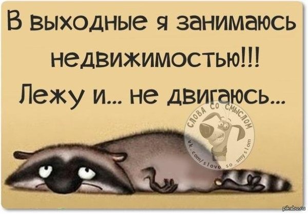 смешная цитата