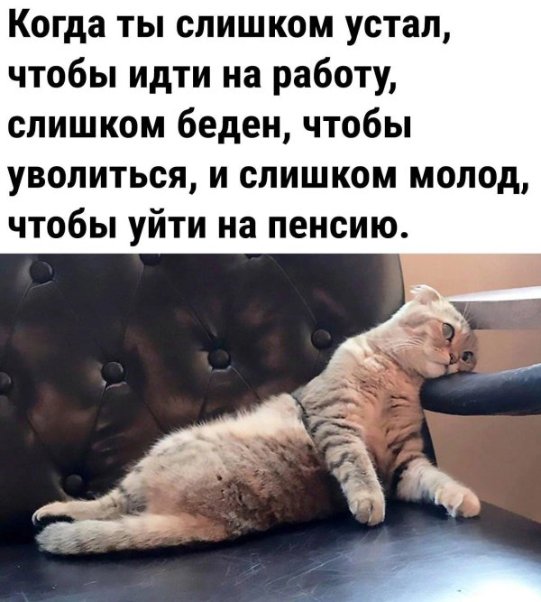когда ты слишком беден чтобы уволиться