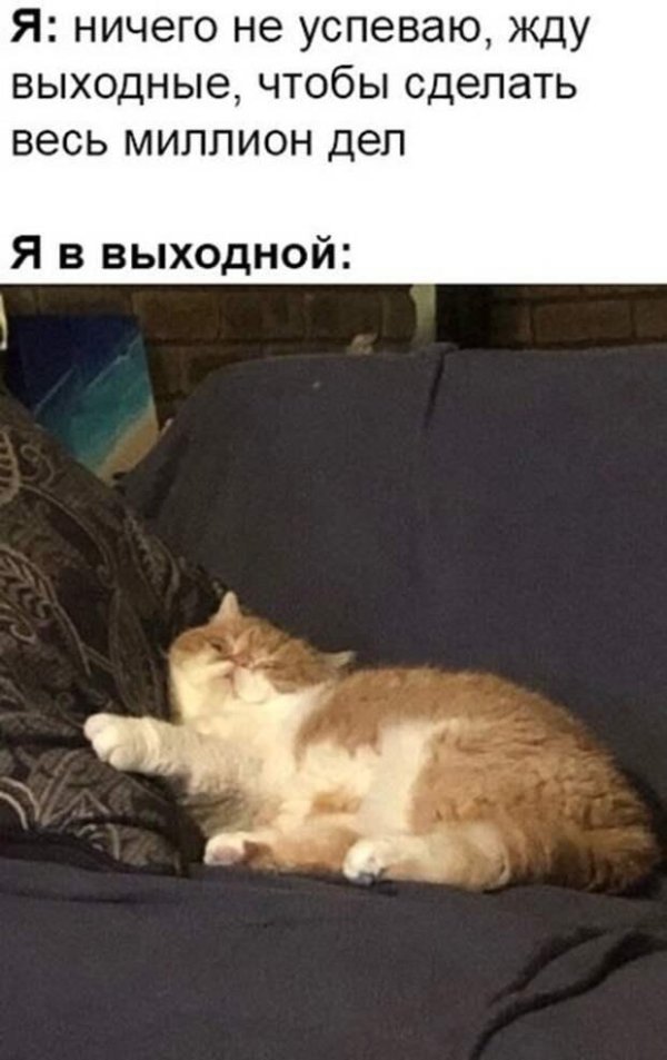жду выходные