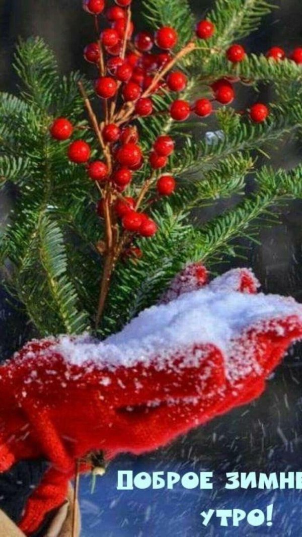 с добрым зимним утром и хорошего дня