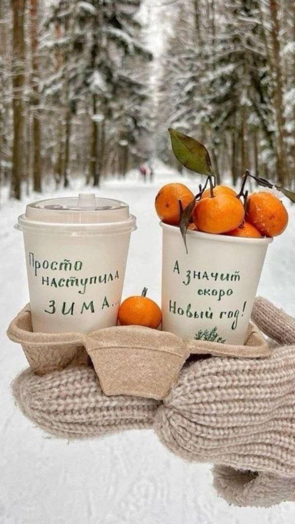 предновогоднее утро