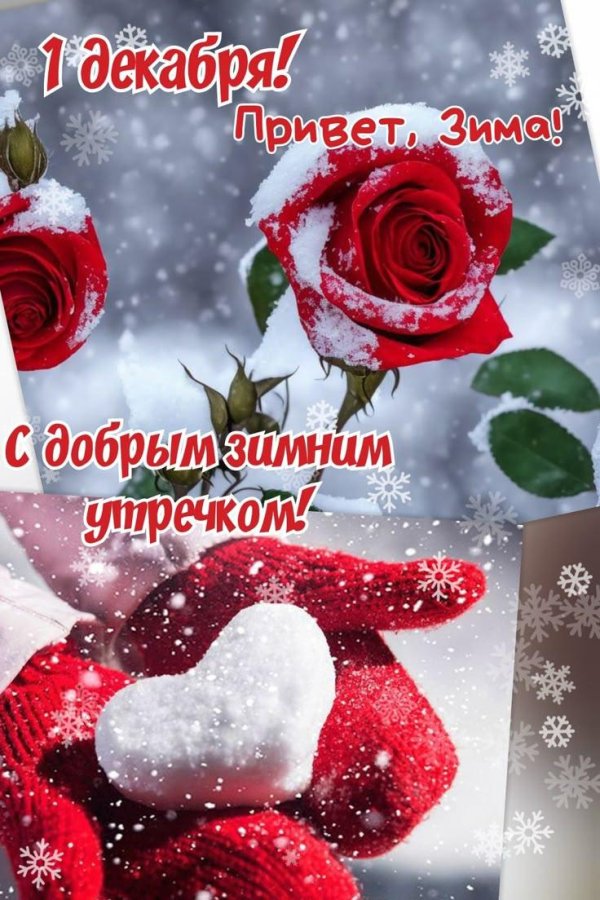 открытка зимняя